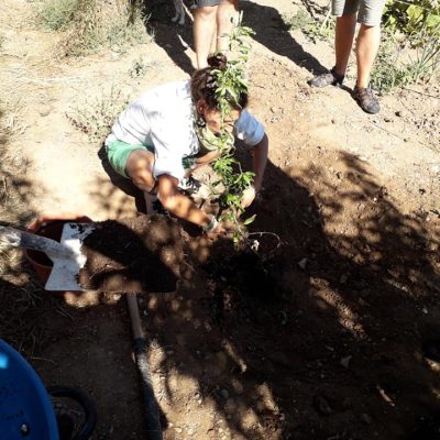 Held in Malta, this exchange hosts young people from abroad for a learning experience on environmental sustainability.