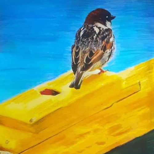 Part of our Social Business Programme, we offer an online auction in collaboration with 11 local artists, who donate 15 of their original works to this cause. These are put under the digital hammer, raising €2000 towards our services.